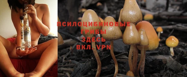 ГАЛЛЮЦИНОГЕННЫЕ ГРИБЫ Краснослободск