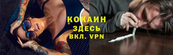 ГАЛЛЮЦИНОГЕННЫЕ ГРИБЫ Краснослободск